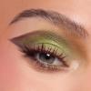 ColourPop x Shrek Eyeshadow Palette – Eye Makeup Palette with Matte, Metallic, Super Shock & Pearlescent Glitter Finishes – High-Pigment Eye Makeup with a Long-Wearing Formula – Beware Ogre (0.63 oz)