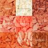 ColourPop Neutrals Palette Bundle – High-Pigment Eye Makeup with Matte, Metallic, and Glitter Finishes – Baby Got Peach Shadow Palette (0.3 oz) & Going Coconuts Eyeshadow Palette (0.3 oz)