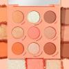 ColourPop Neutrals Palette Bundle – High-Pigment Eye Makeup with Matte, Metallic, and Glitter Finishes – Baby Got Peach Shadow Palette (0.3 oz) & Going Coconuts Eyeshadow Palette (0.3 oz)