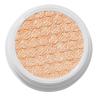 ColourPop Super Shock Shadow – High-Pigment, Crème-Powder Eye Makeup – Single Glitter Eyeshadow with Minimal Fallout and Unique Bouncy Texture – Ivory Eyeshadow – Mighty Morphin (0.07 oz)(La Mesa – metallic icy nude with pink flecks)