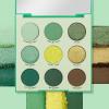 ColourPop Silver Lining Eyeshadow Palette – Cool Toned Silver, Grey, White & Black Eyeshadow Palette with Matte & Glitter Finishes – High-Pigment Smokey Eye Makeup with Longwear Formula (0.3 oz)(Just My Luck)
